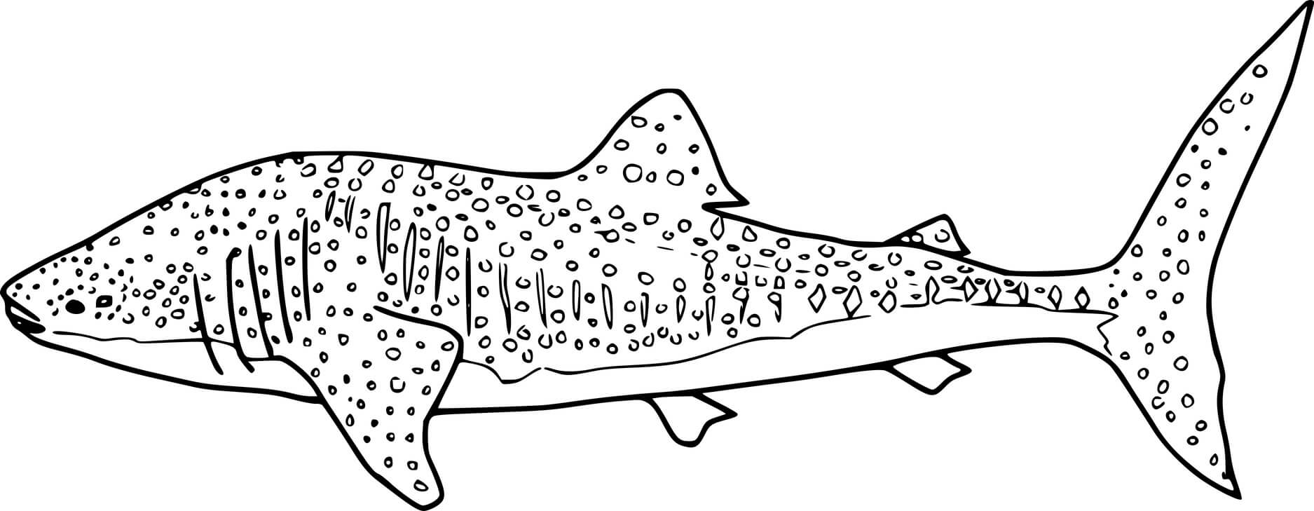 Realistic Whale Shark Coloring Page