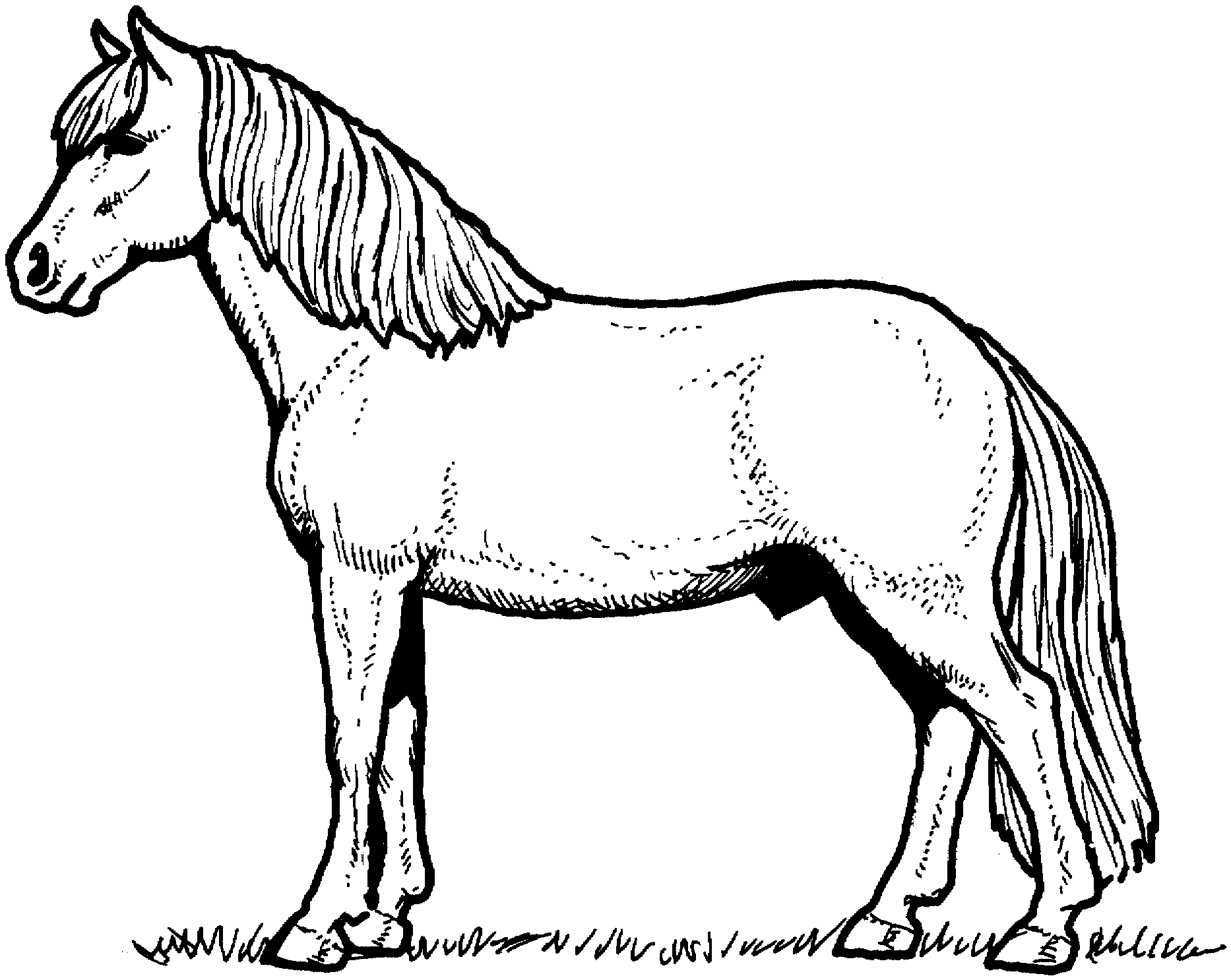 Silhouetted Horse Coloring Page