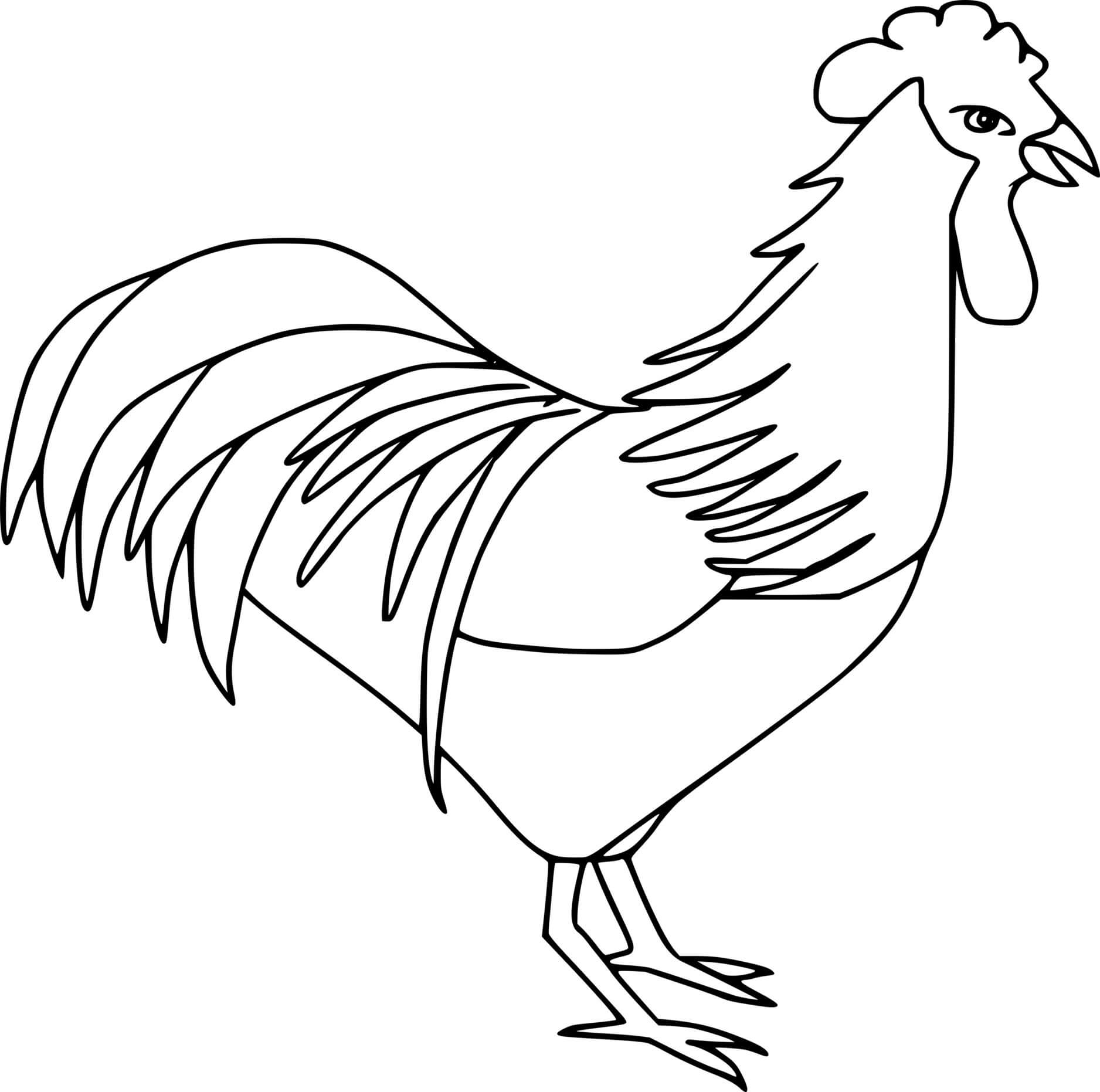Simple Beautiful Rooster