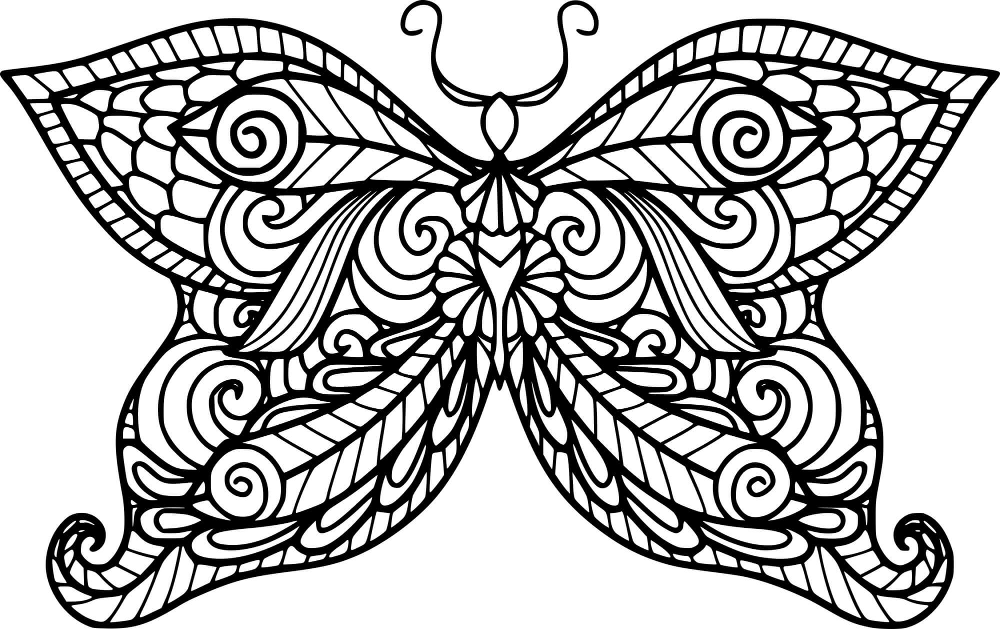 Simple Butterfly Zentangle