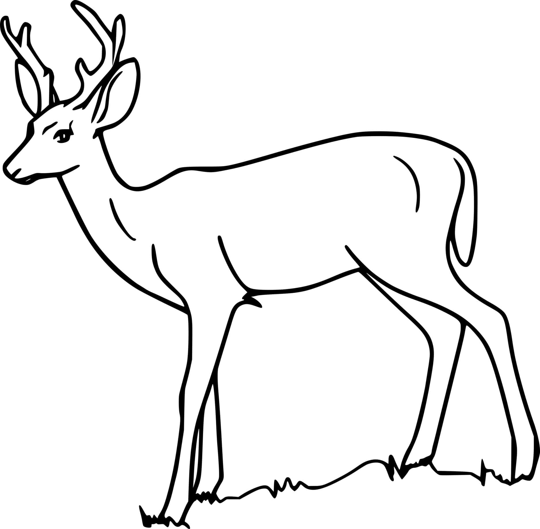 Simple Deer On The Grass Coloring Page