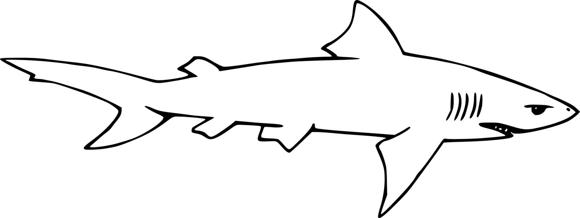Simple Lemon Shark Coloring Page