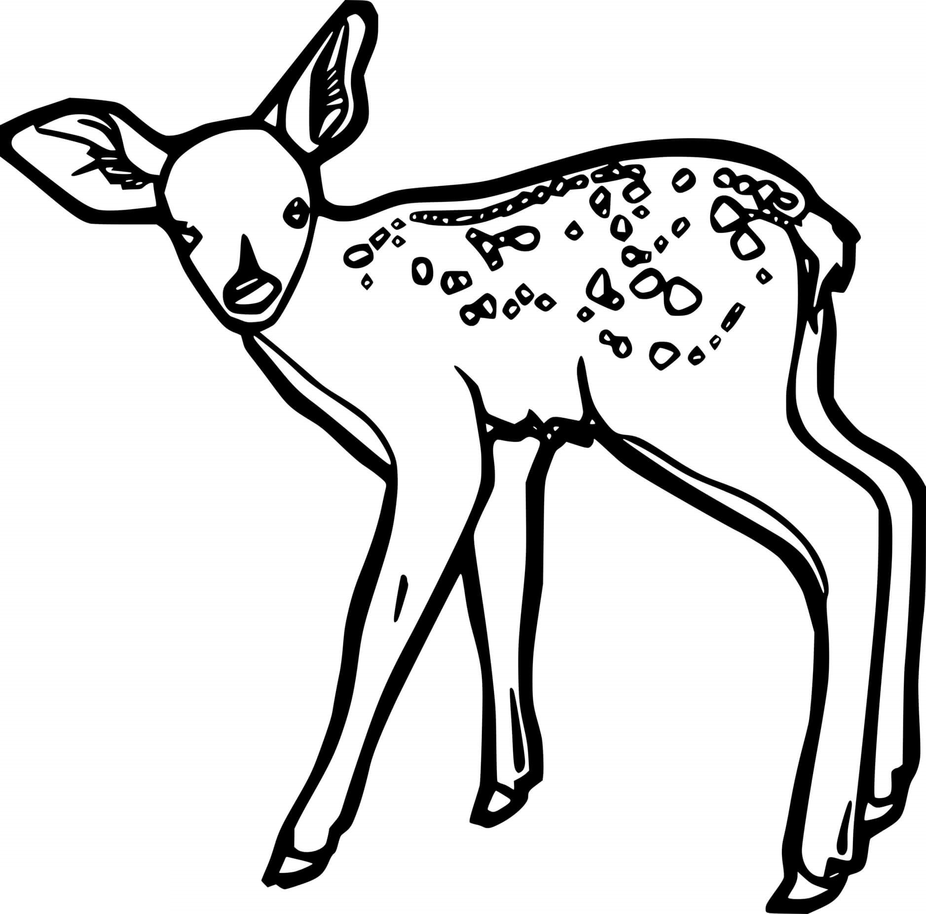Simple Little Spotted Deer Coloring Page