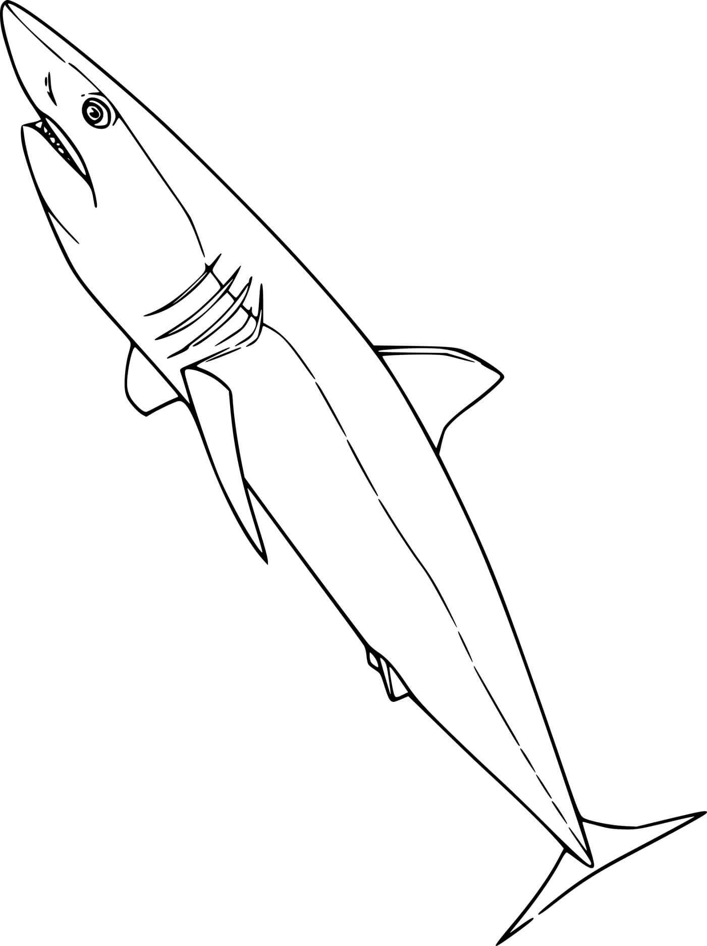 Simple Mako Shark Coloring Page