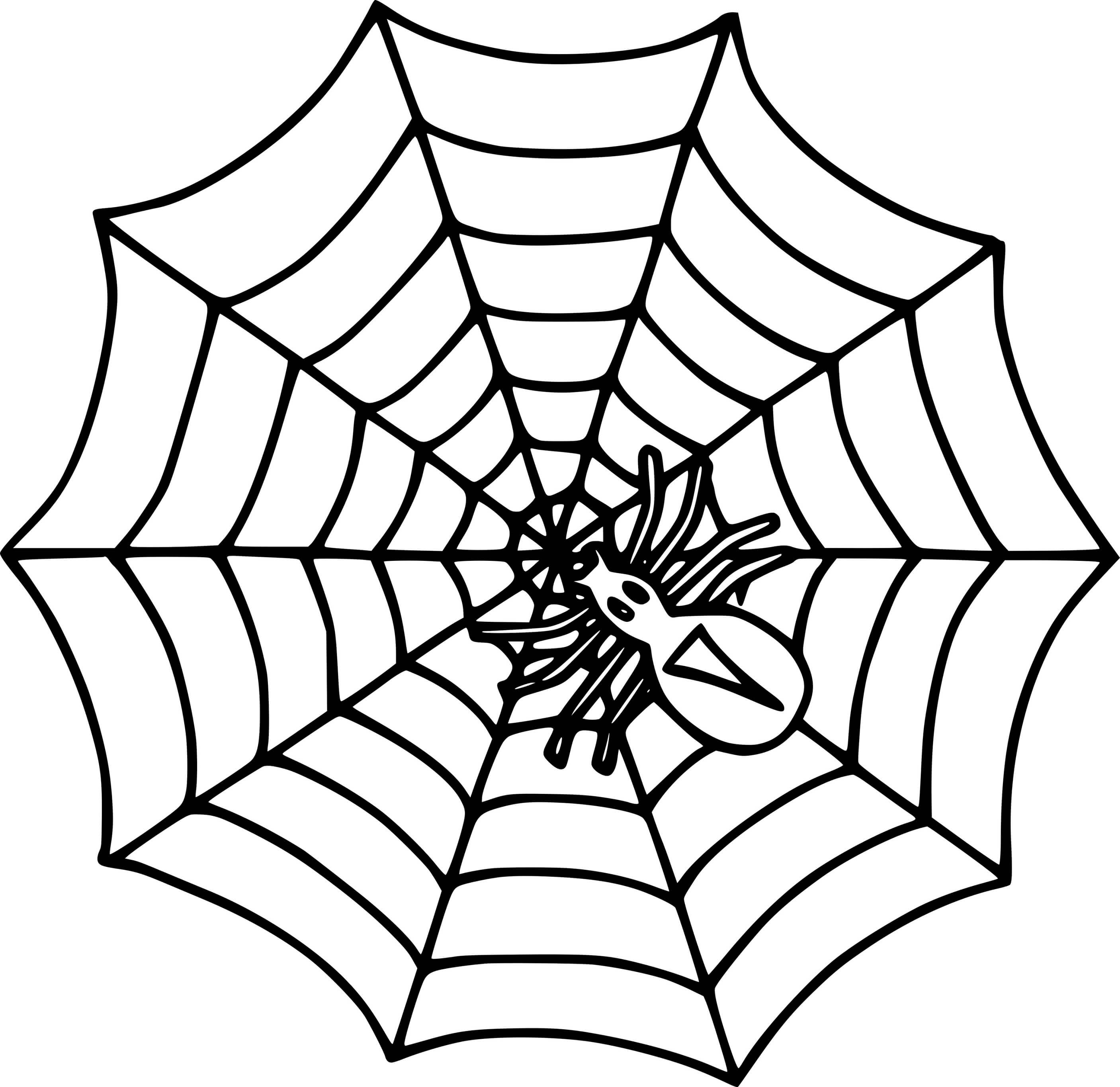 Simple Spider On The Web