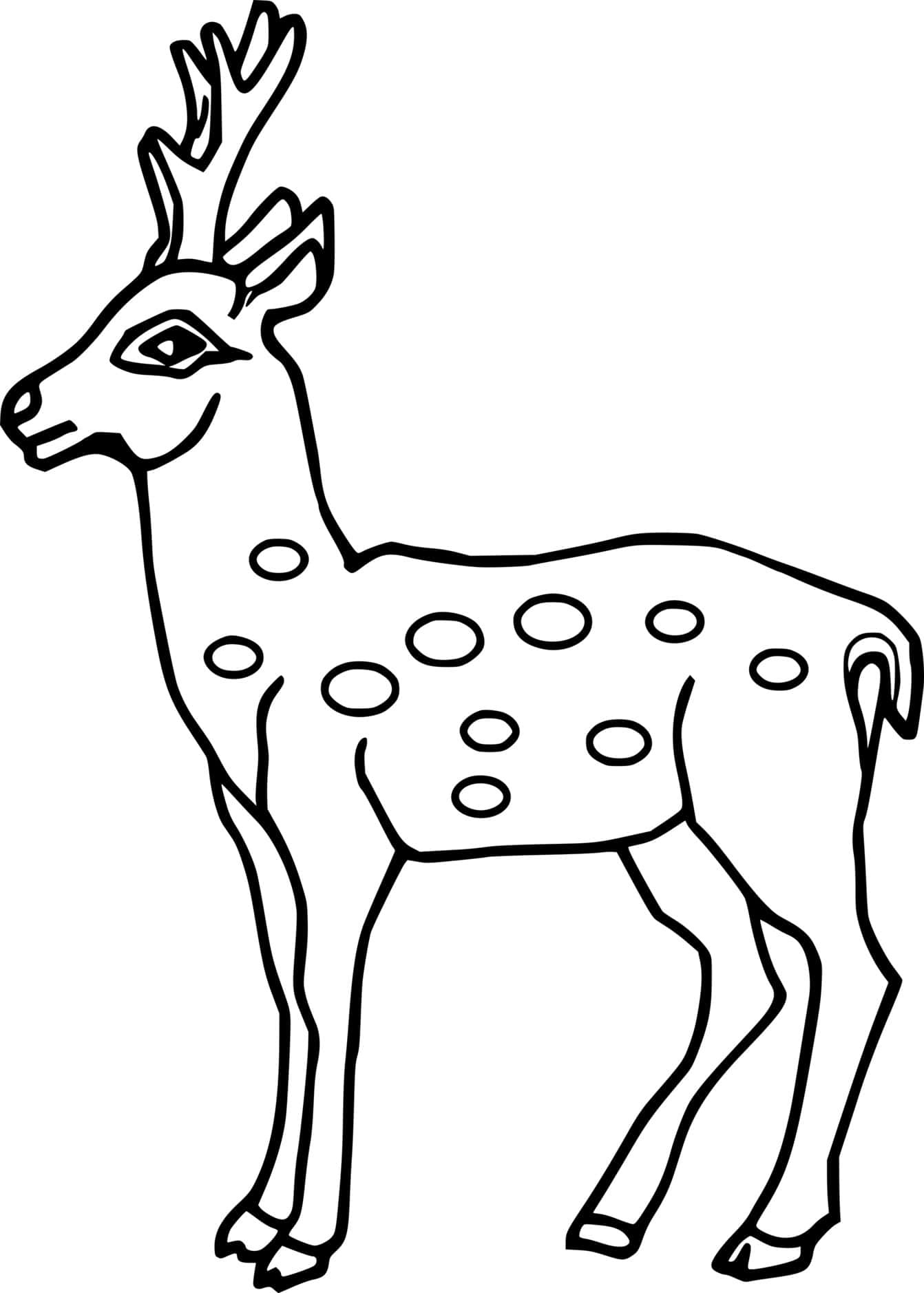 Simple Spotted Deer Coloring Page