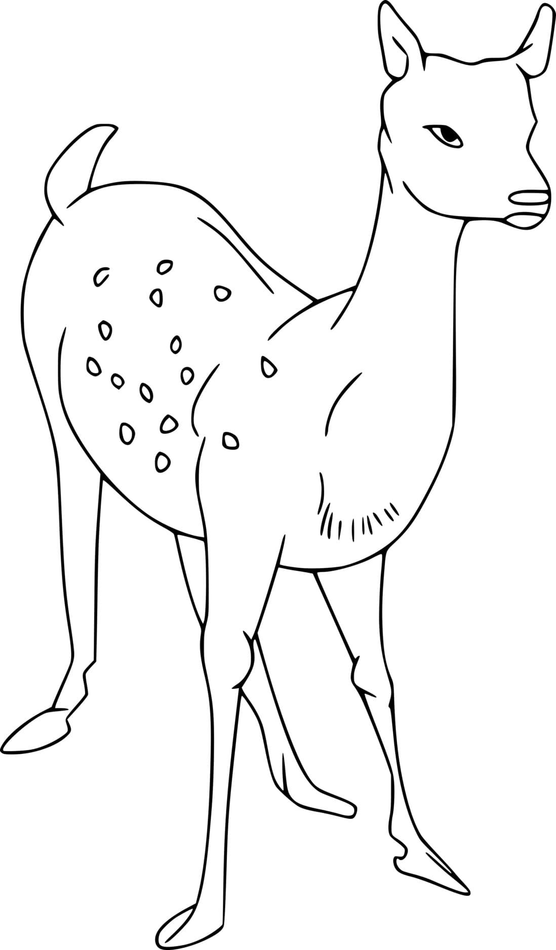 Simple Young Deer Coloring Page