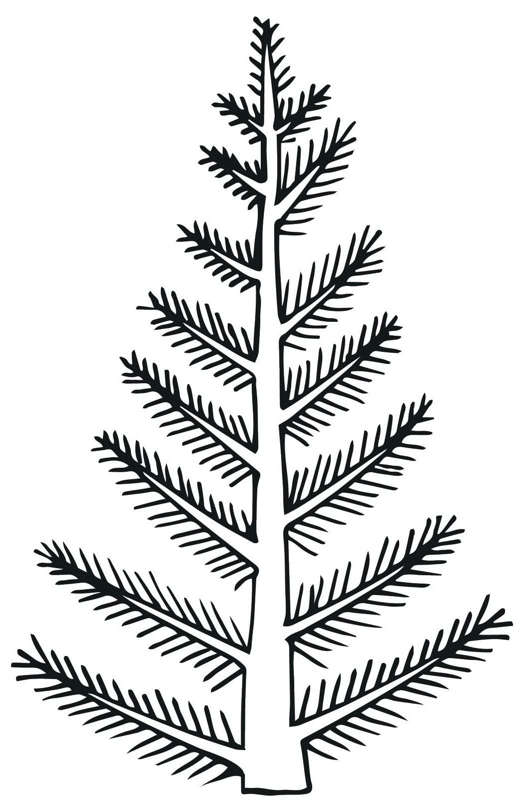 Simple Natural Blank Christmas Tree Coloring Page