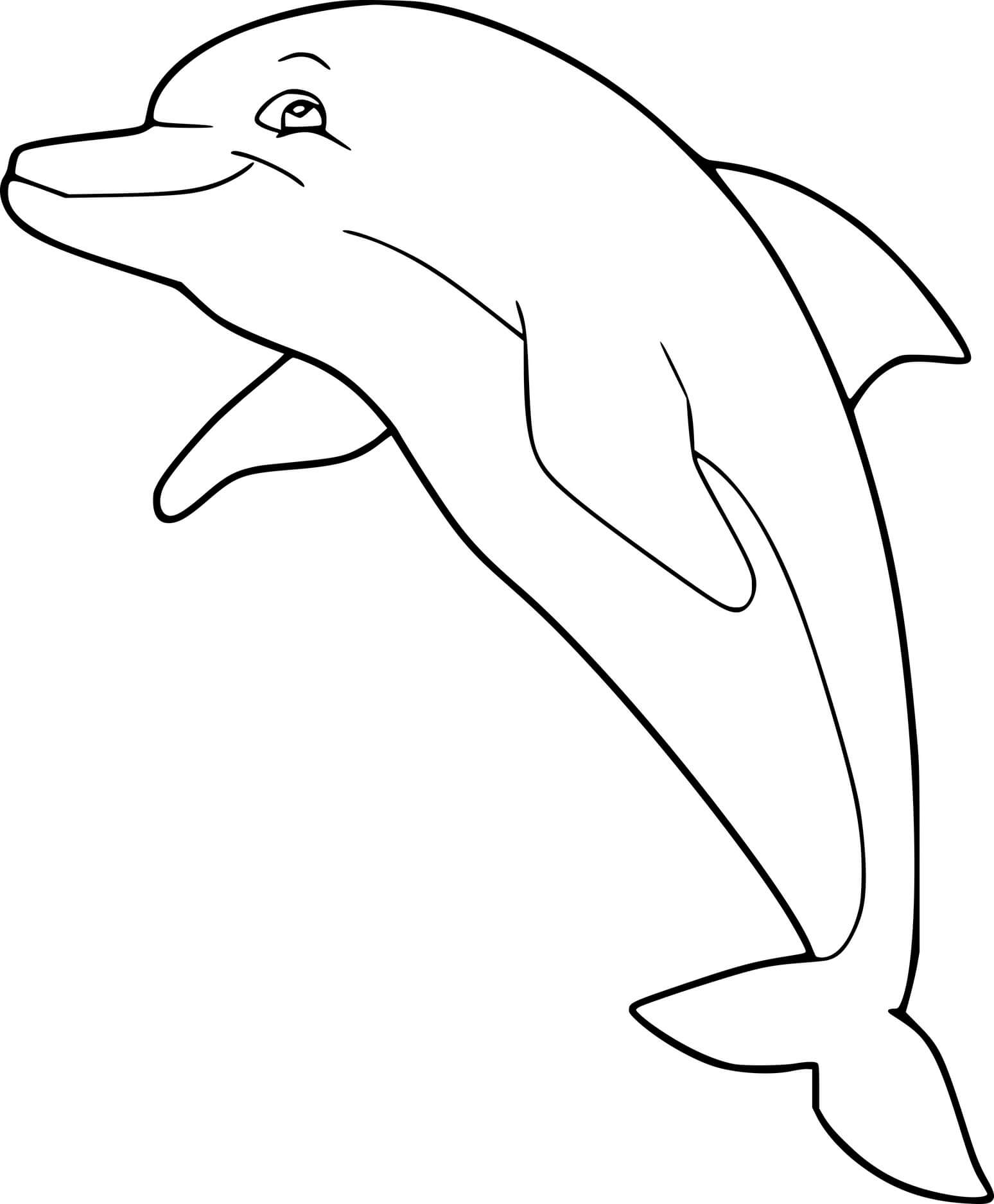 Smiling Dolphin Jumping