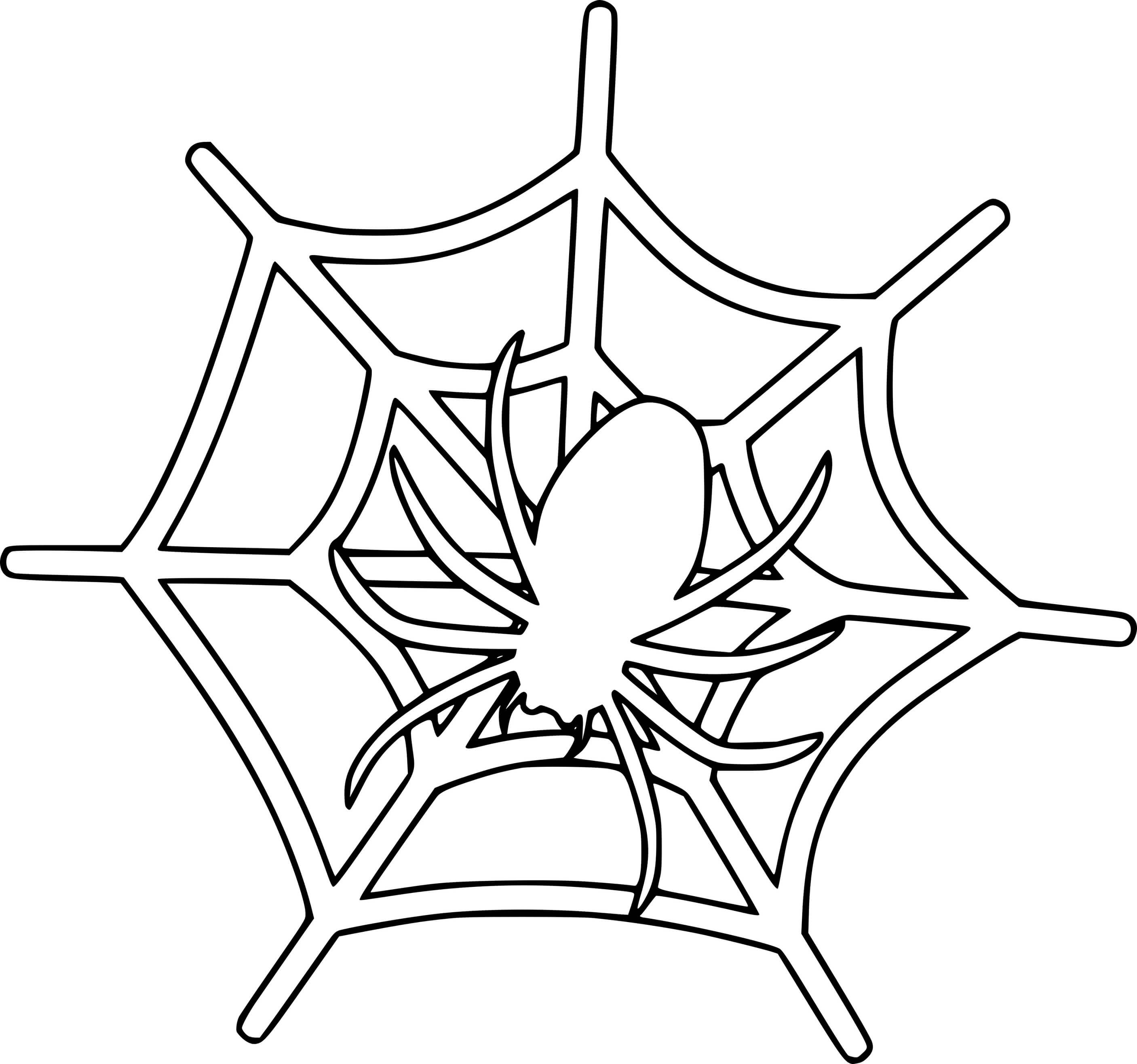 Spider Spinning Web Outline