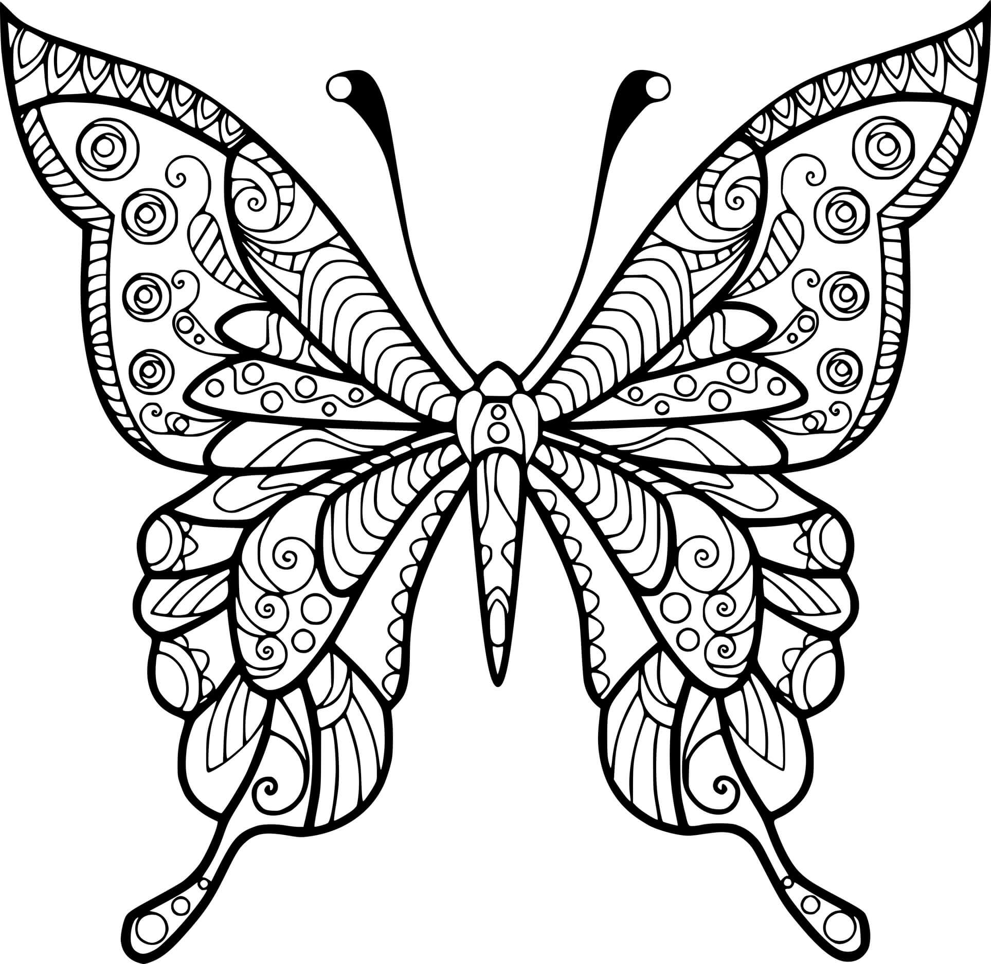 Swallowtail Butterfly Zentangle