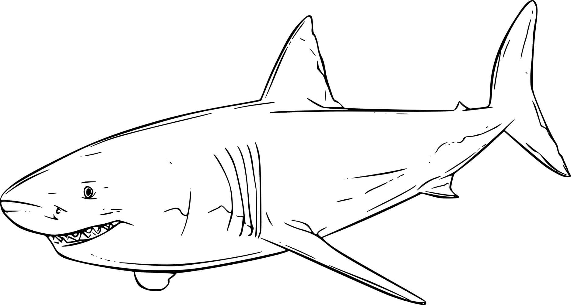Swimming Great White Shark Coloring Page