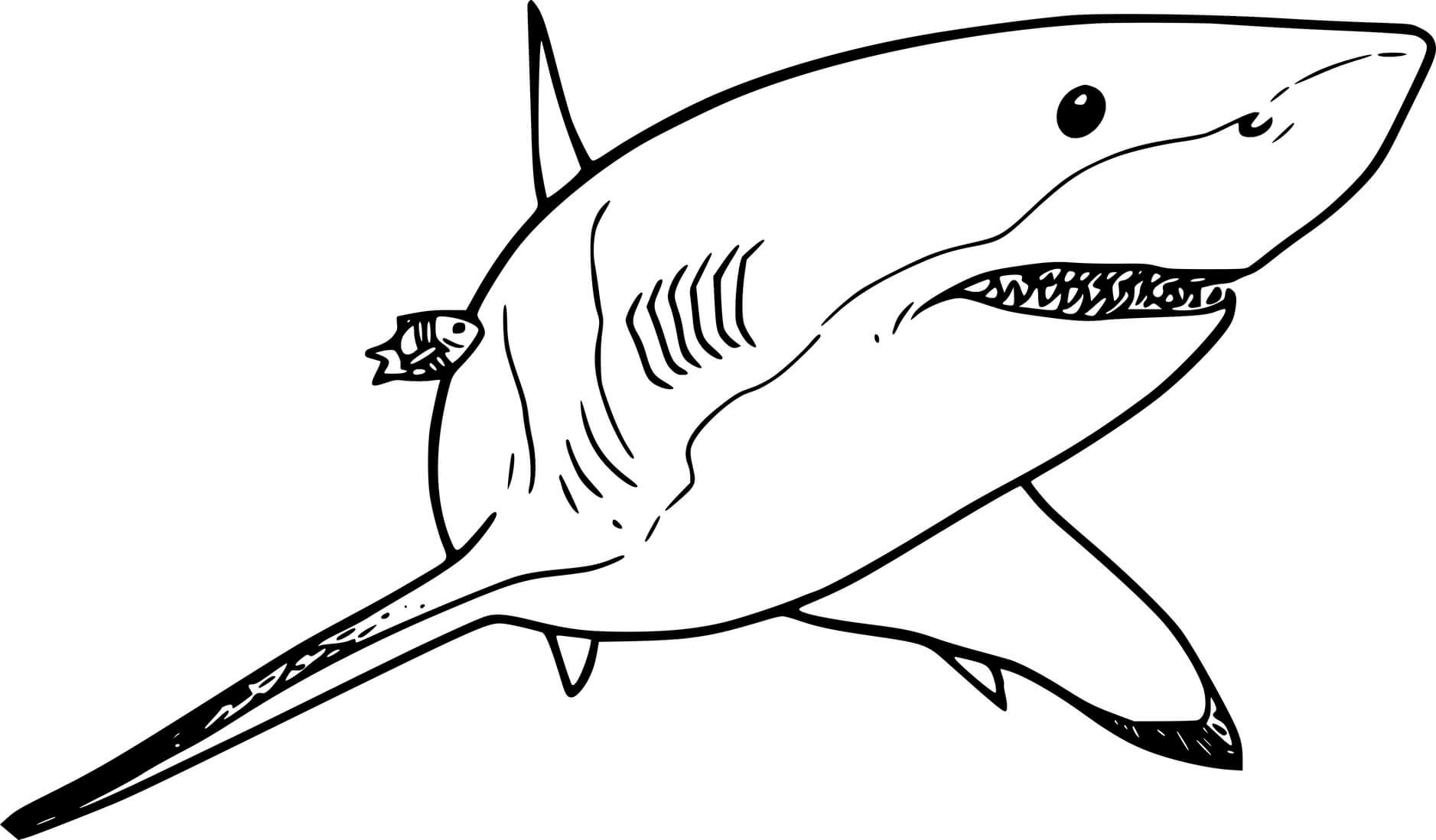 Swimming Lemon Shark Coloring Page
