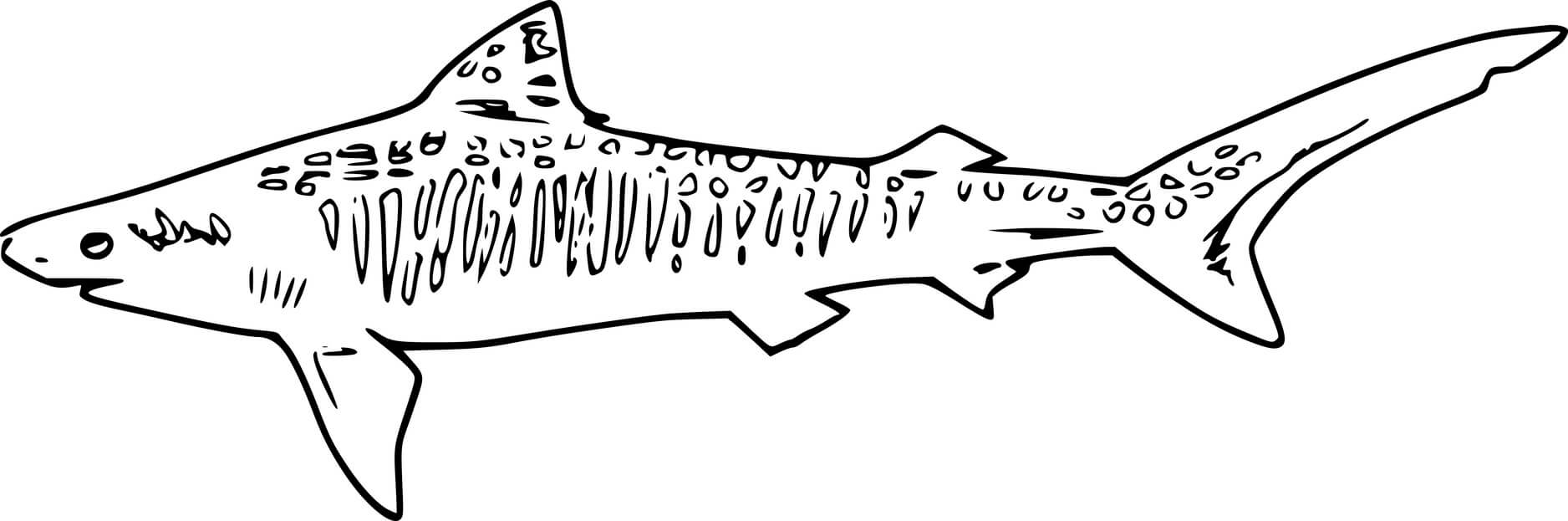 Swimming Sand Tiger Shark Coloring Page