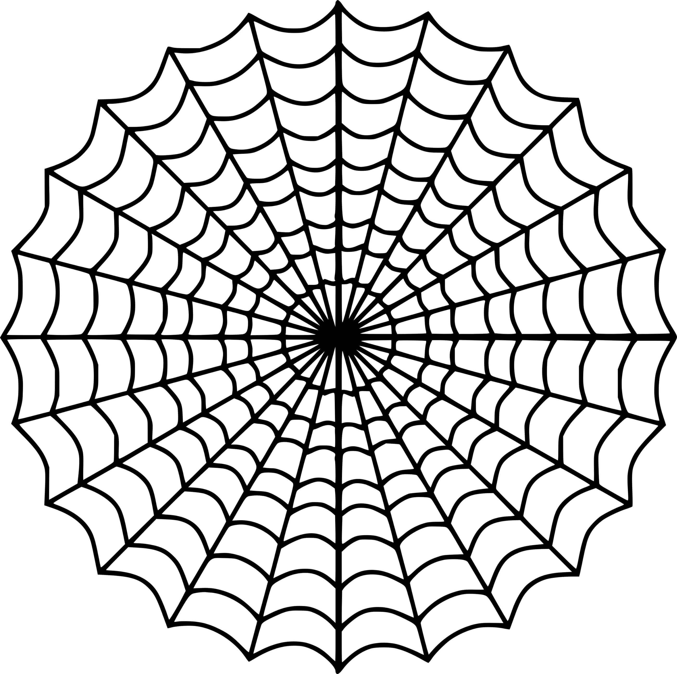 Symmetric Spider Web