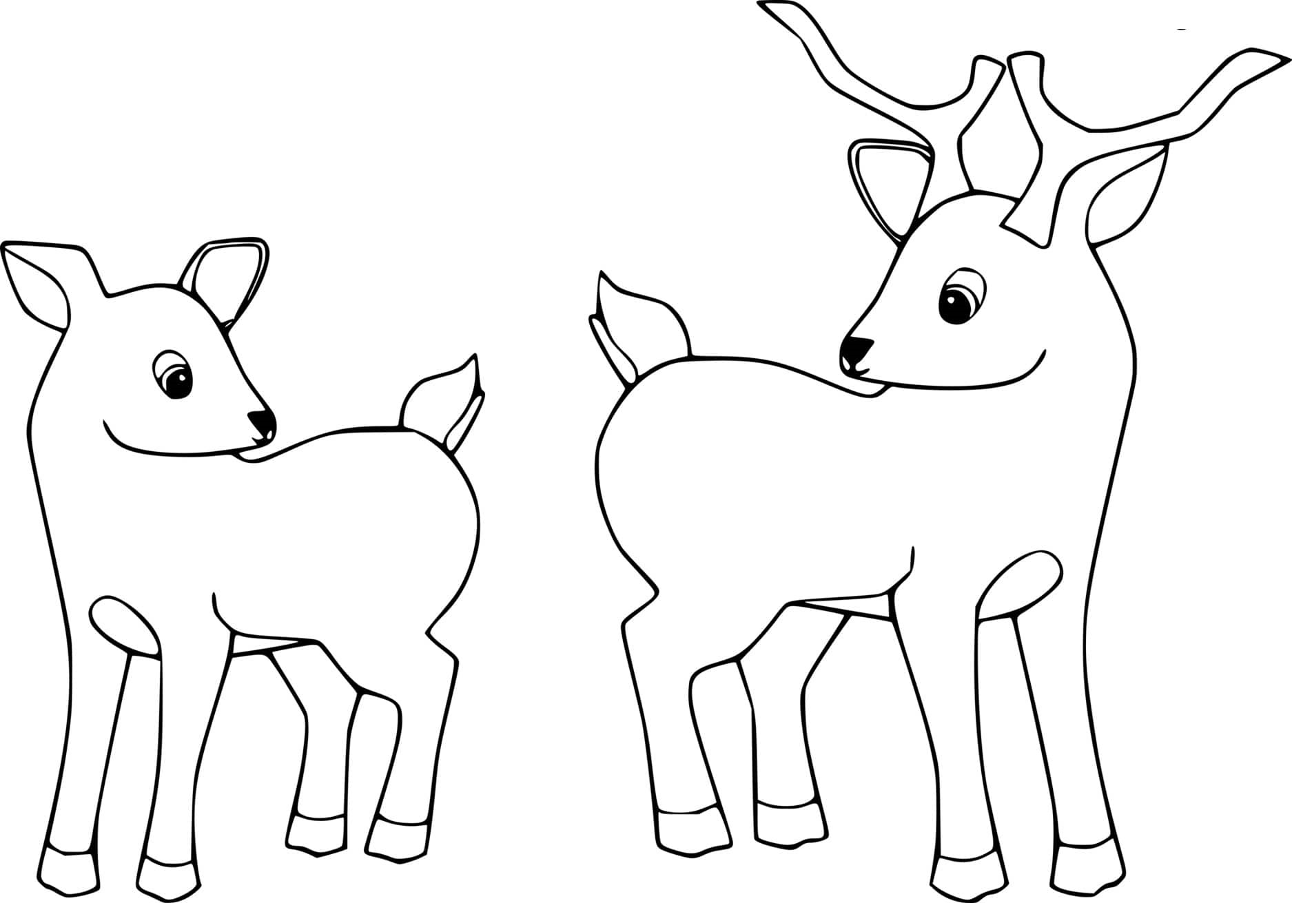 Two Baby Deer Coloring Page
