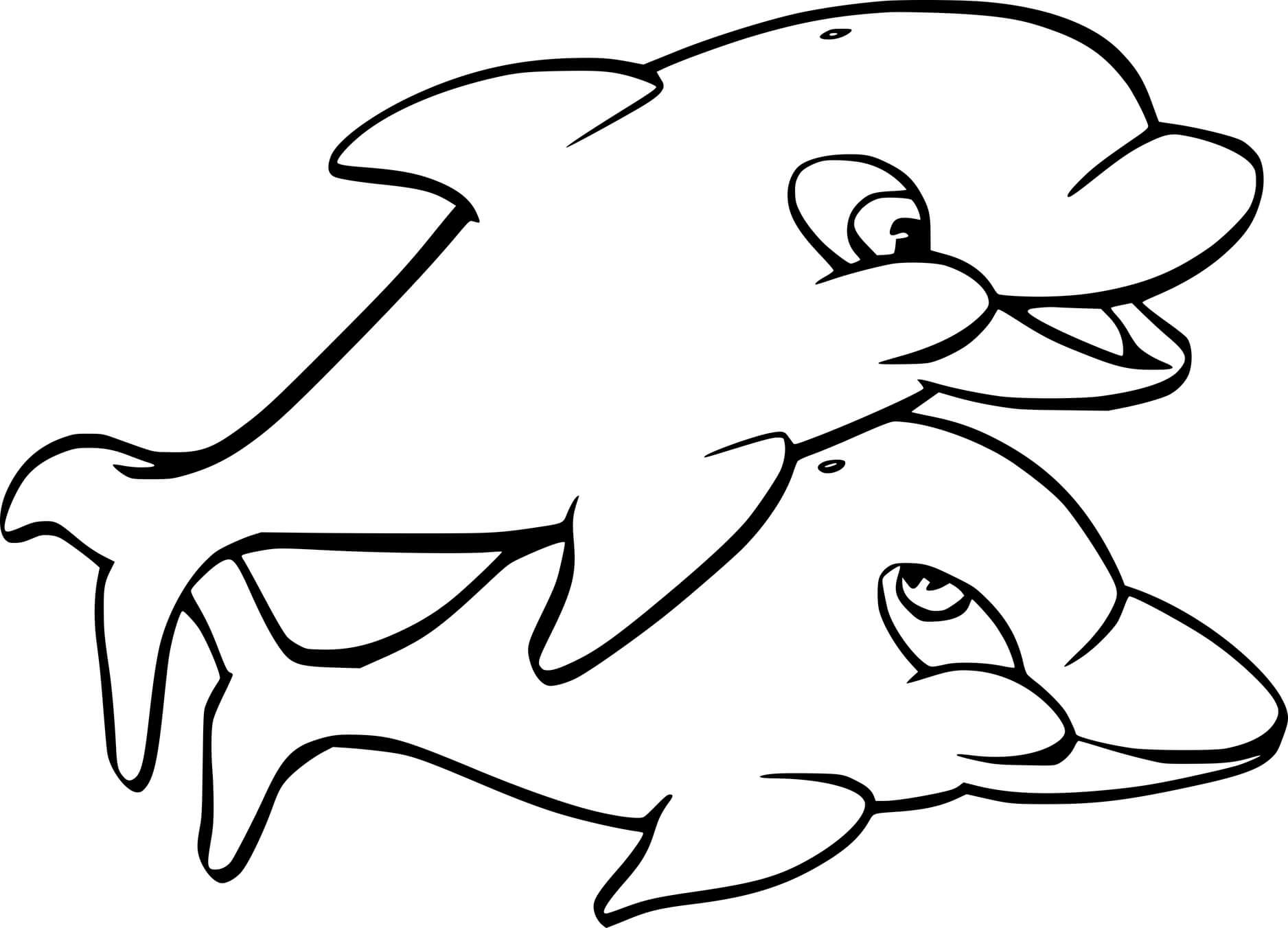 Two Baby Dolphins