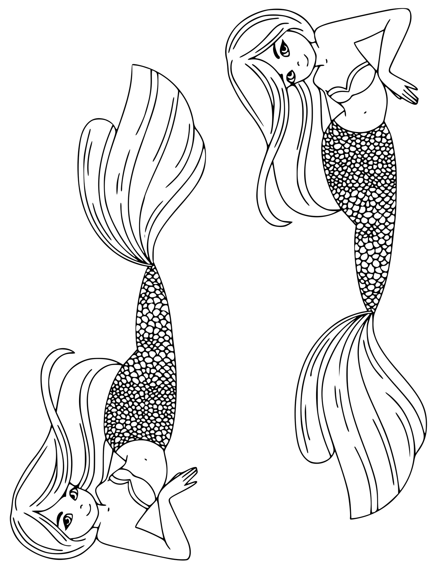 Two Mermaid Sisters