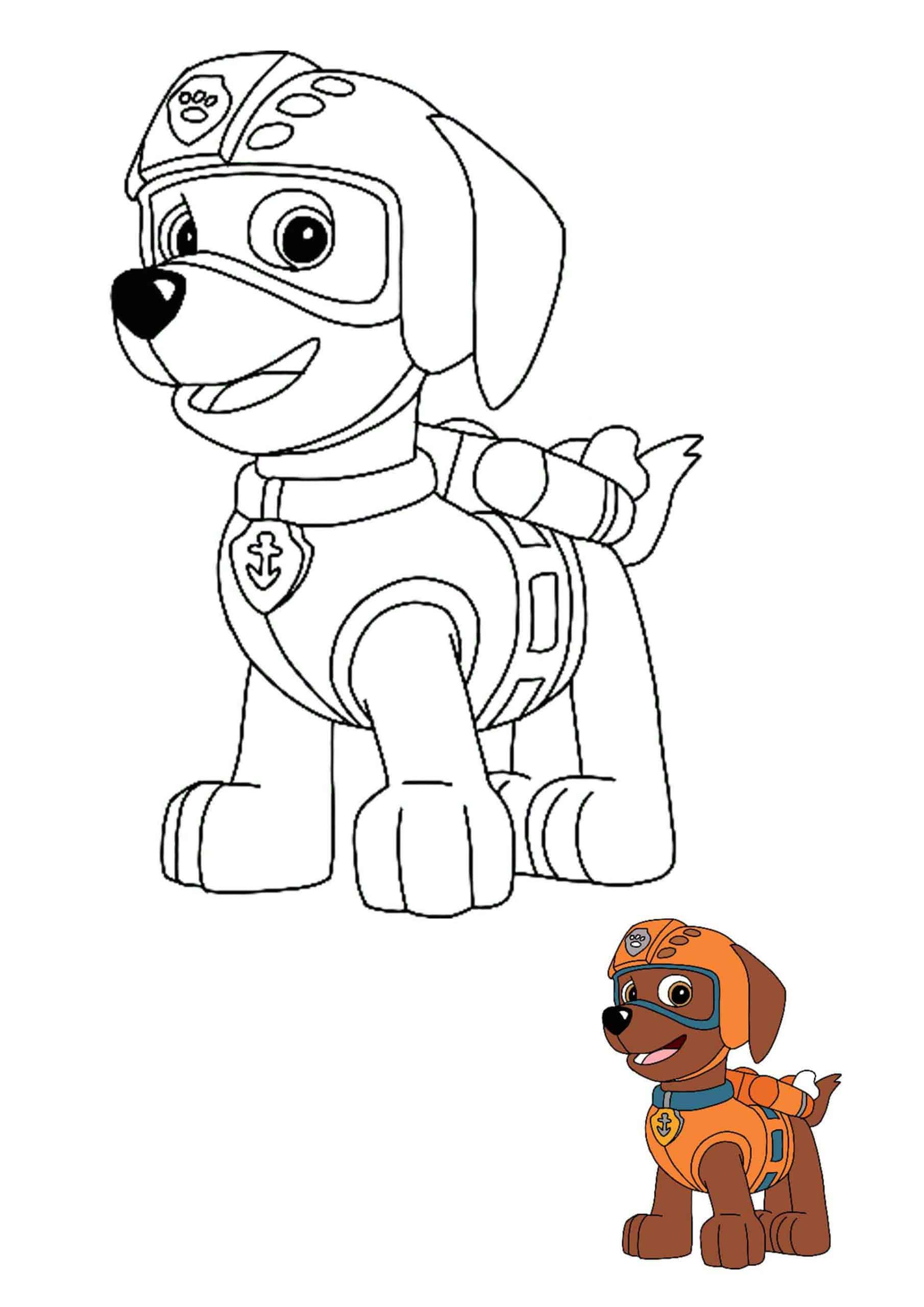 Zuma Chocolate Labrador Retriever Puppy Coloring Page