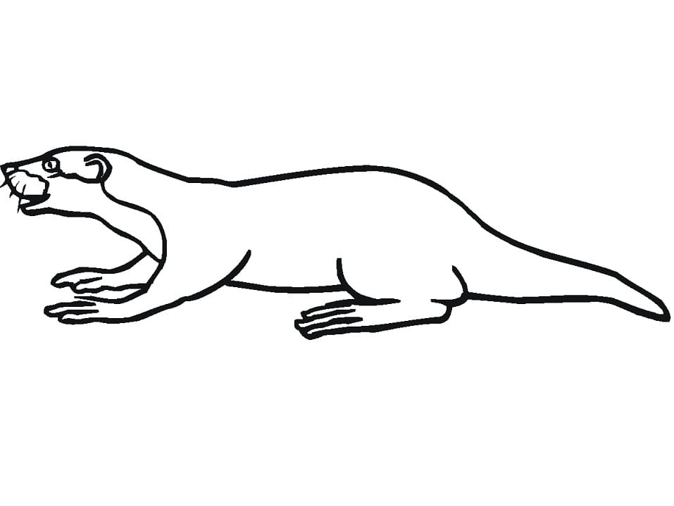 A Badger Coloring Page