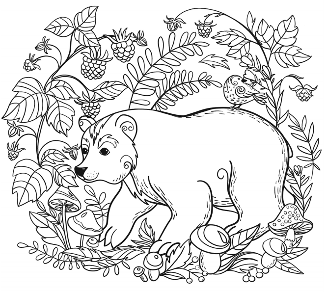 A Bear Coloring Page