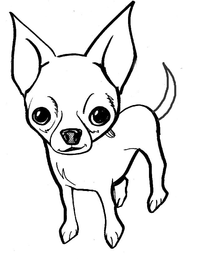 A Chihuahua Coloring Page