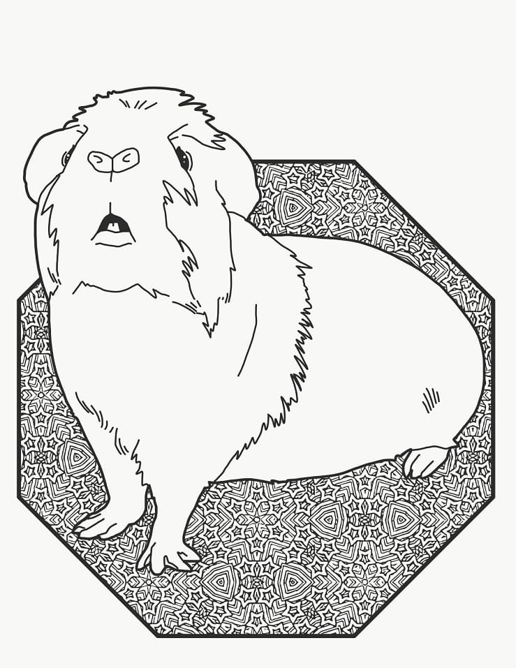 A Curious Guinea Pig Coloring Page