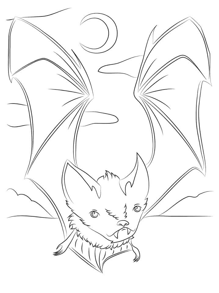 A Cute Bat Coloring Page