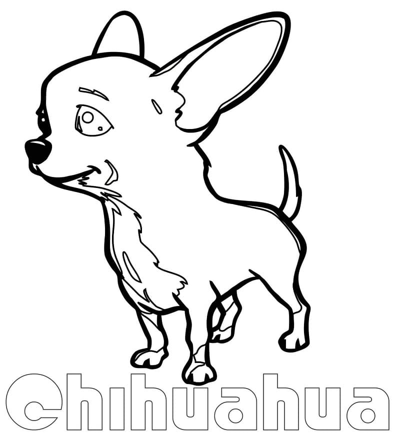A Cute Chihuahua Coloring Page