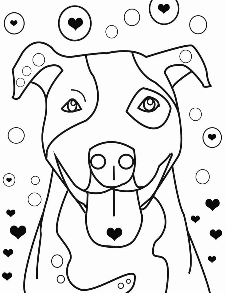 A Cute Pitbull Coloring Page