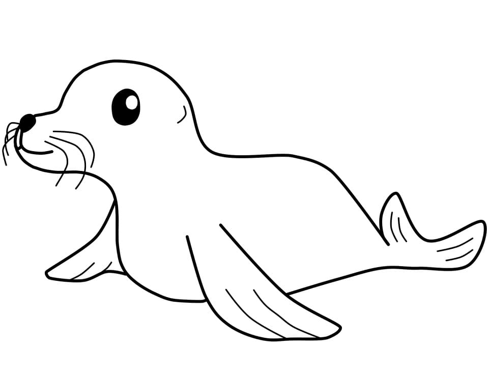 A Cute Seal Coloring Page