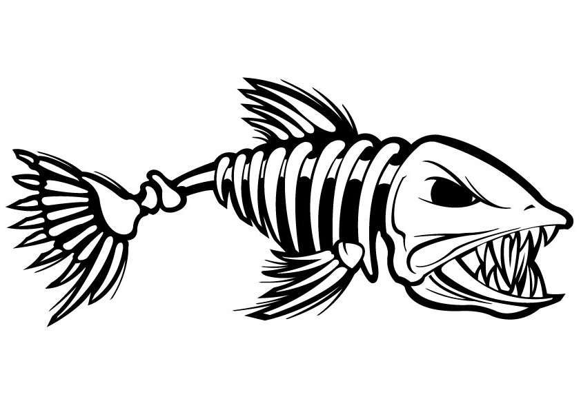 A Fish Skeleton