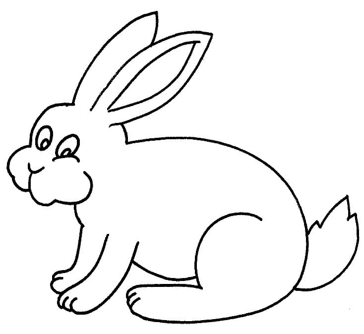 A Funny Rabbit