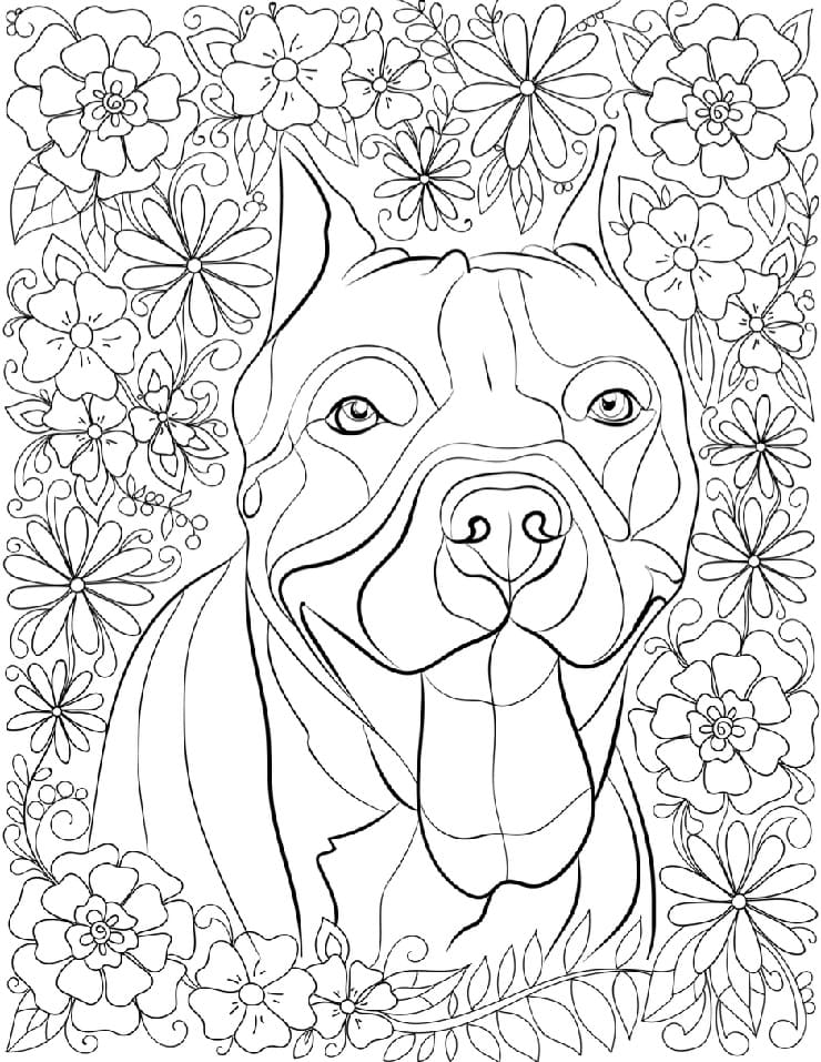 A Happy Pitbull Coloring Page