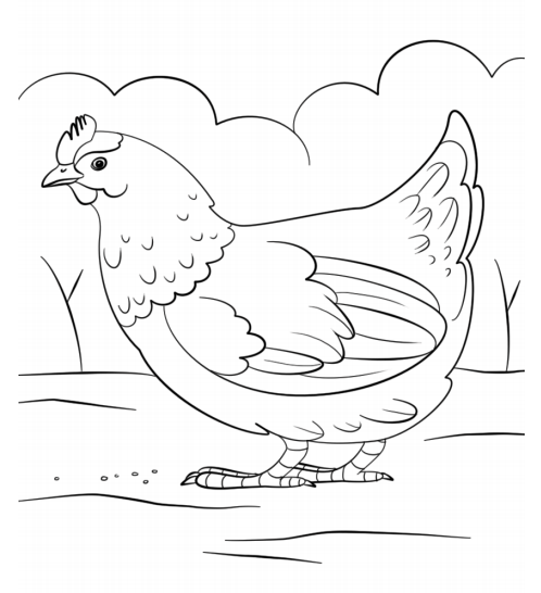 A Hen