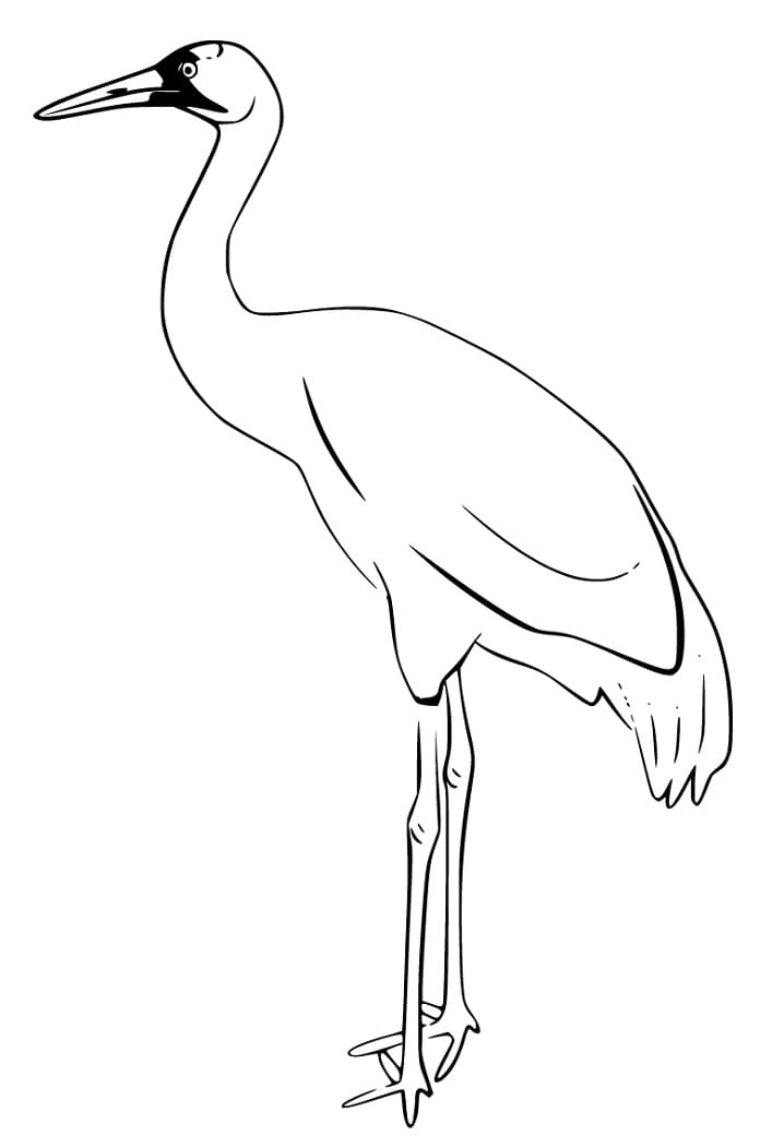 A Normal Crane