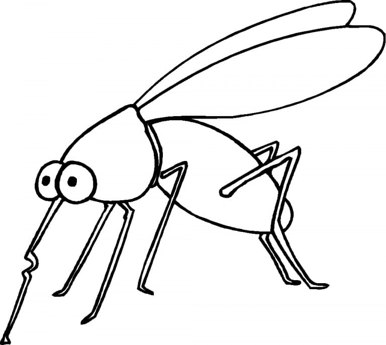A Normal Mosquito Coloring Page