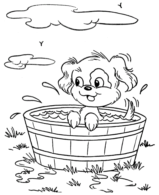 A Puppy In A Bucket A5d7