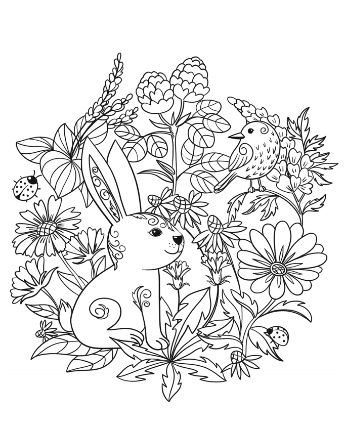 A Rabbit Coloring Page