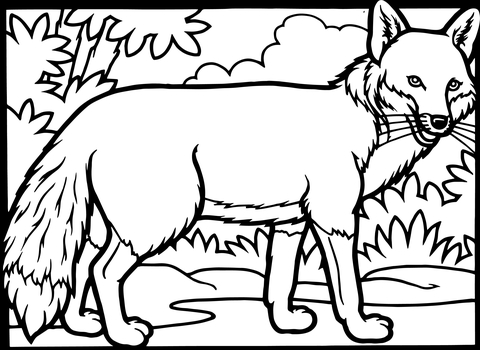 A Red Fox Coloring Page