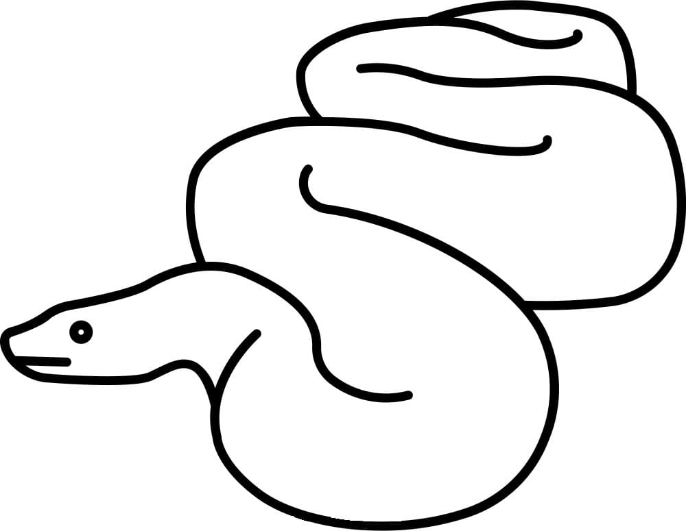 A Simple Anaconda