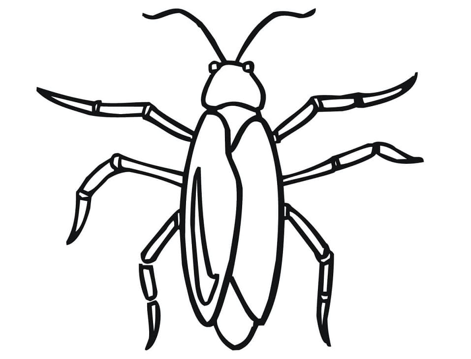 A Simple Cockroach Coloring Page