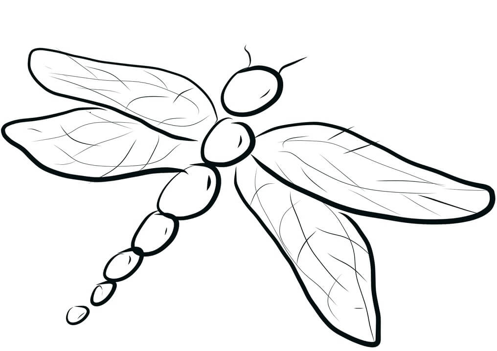 A Simple Dragonfly