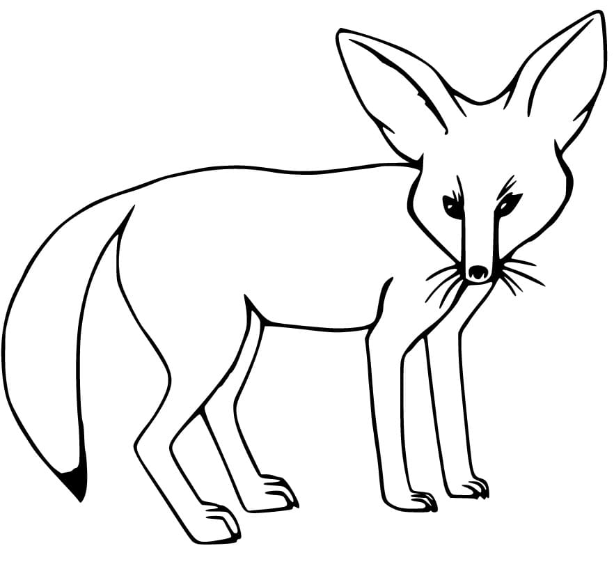 A Simple Fennec Fox Coloring Page