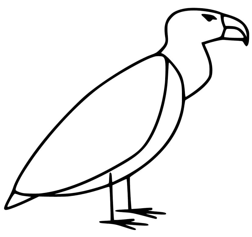 A Simple Vulture