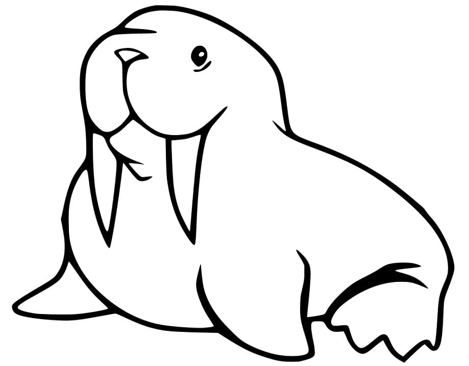 A Simple Walrus Coloring Page