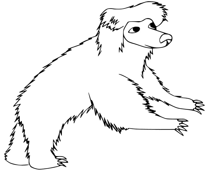 A Sloth Bear Coloring Page