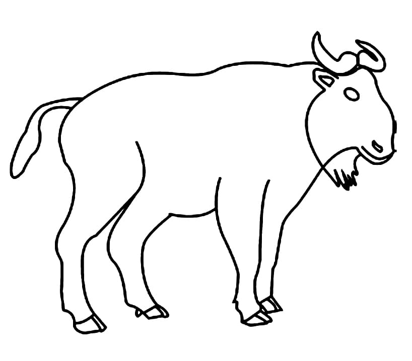 A Takin Coloring Page