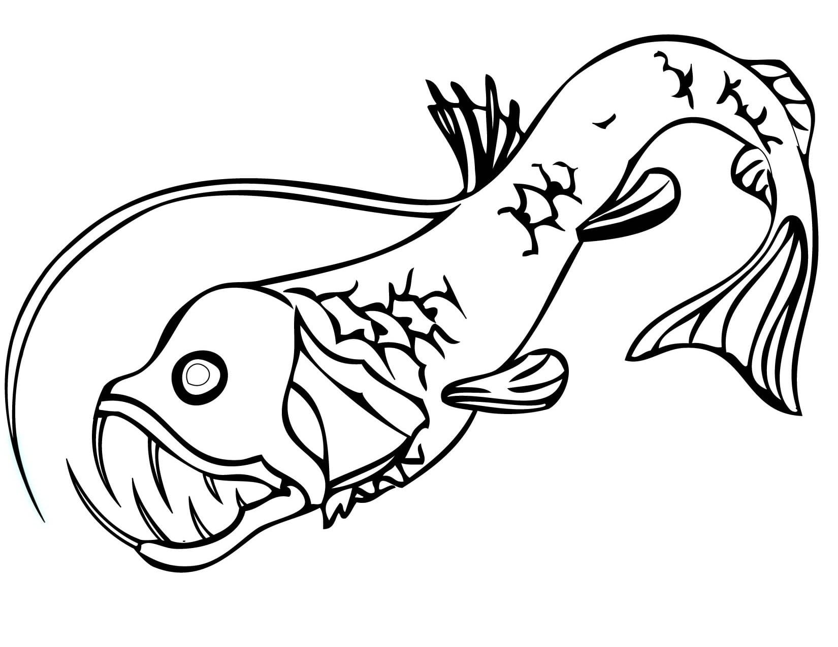 A Viperfish Coloring Page