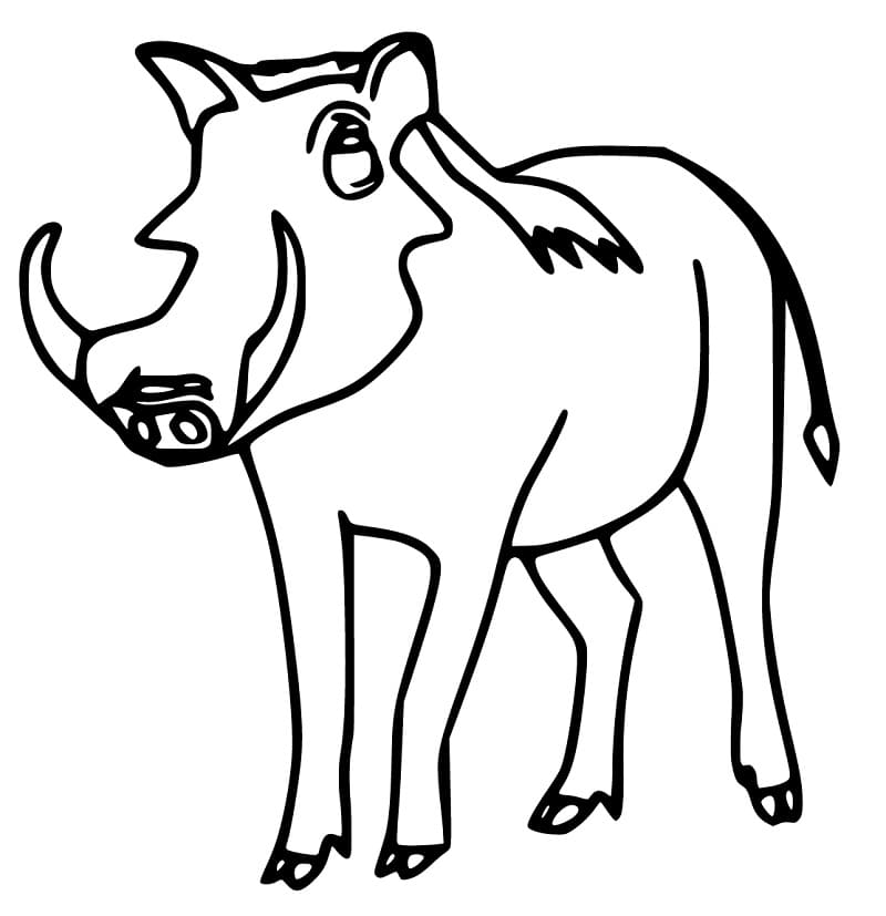 A Warthog Coloring Page